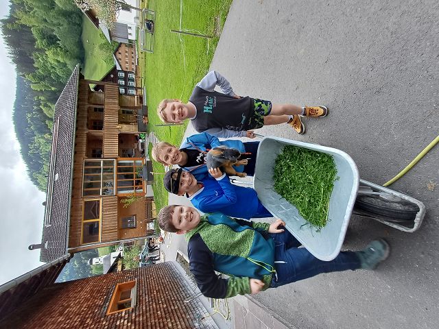k-20250512_172619.jpg 