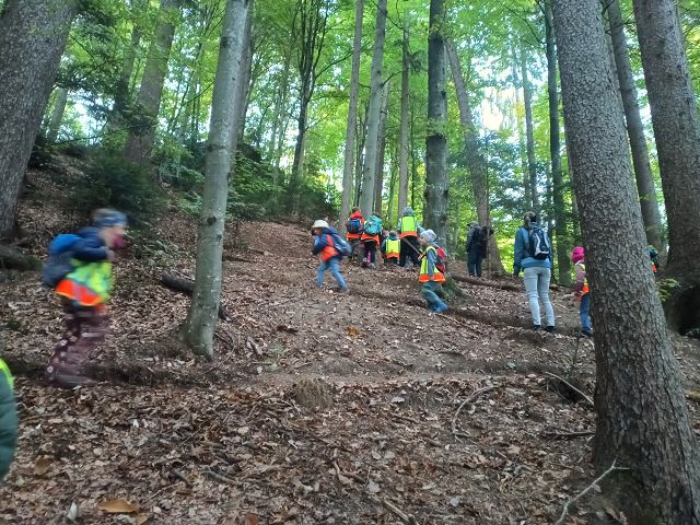 k-IMG_20251014_102735_100.jpg 